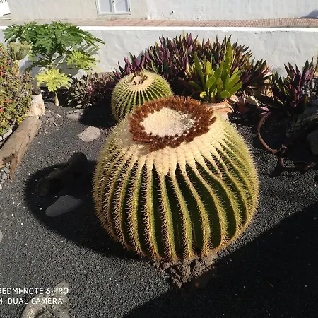 Caracola Azul アパート *